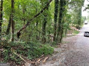 Don't miss out on this .49-acre lot in desirable Forsyth County with no HOA restrictions, offering the perfect blend of convenience and privacy. Located near Highway 400, this property provides easy access to multiple grocery stores and shopping centers. The lot comes with a level three soil test & survey already completed, confirming its suitability for building a three-bedroom home. Don't miss this opportunity to secure a great piece of land in a thriving area.