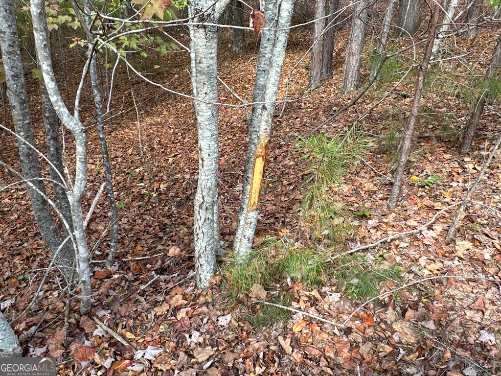 Photo of 1806 Browning Rd, Rockmart, GA 30153 (MLS # 10806110)