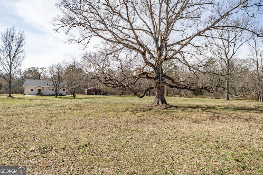 listing image 49