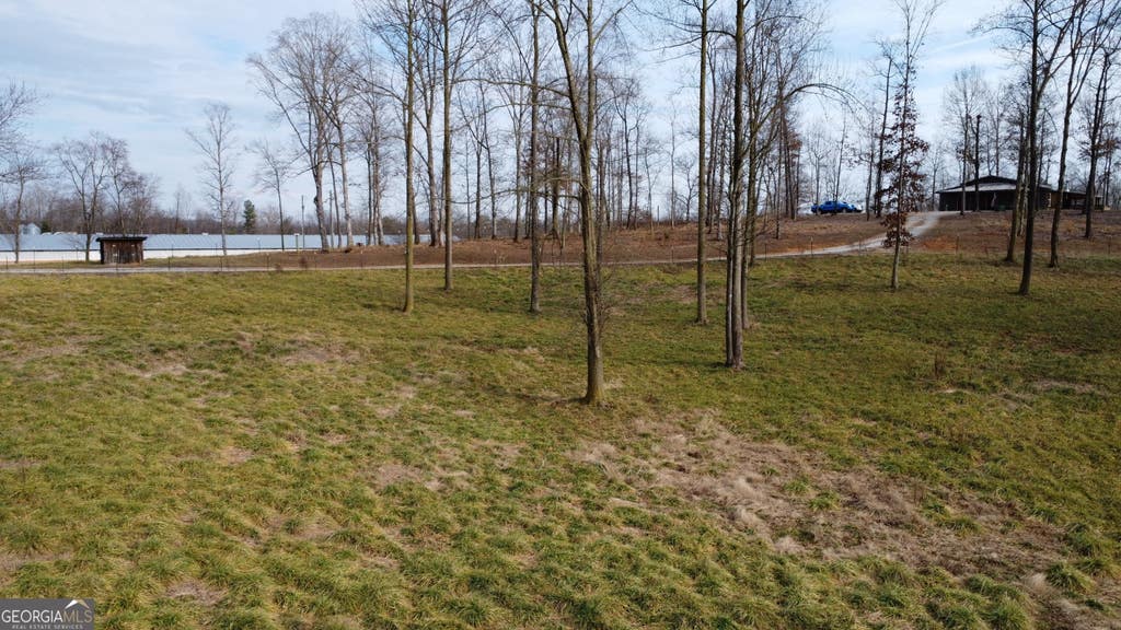 Photo of 1733 Garrison Road, Cornelia, GA 30531 (MLS # 10785740)