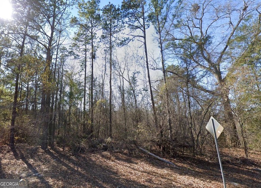 Nestled on two beautiful tracts, this property offers the perfect blend of rural tranquility and convenient access-just minutes from major shopping areas, Robins AFB, and I-75. Enjoy the peacefulness of the countryside, surrounded by mature trees and fresh air, while staying close to everything you need. Whether you're looking to build your dream home or create a weekend escape for camping and relaxation, this versatile property provides the ideal setting. Don't miss the chance to experience the best of both worlds. Contact Travis Chaffin at (706) 302-8198 to learn more or schedule a visit.