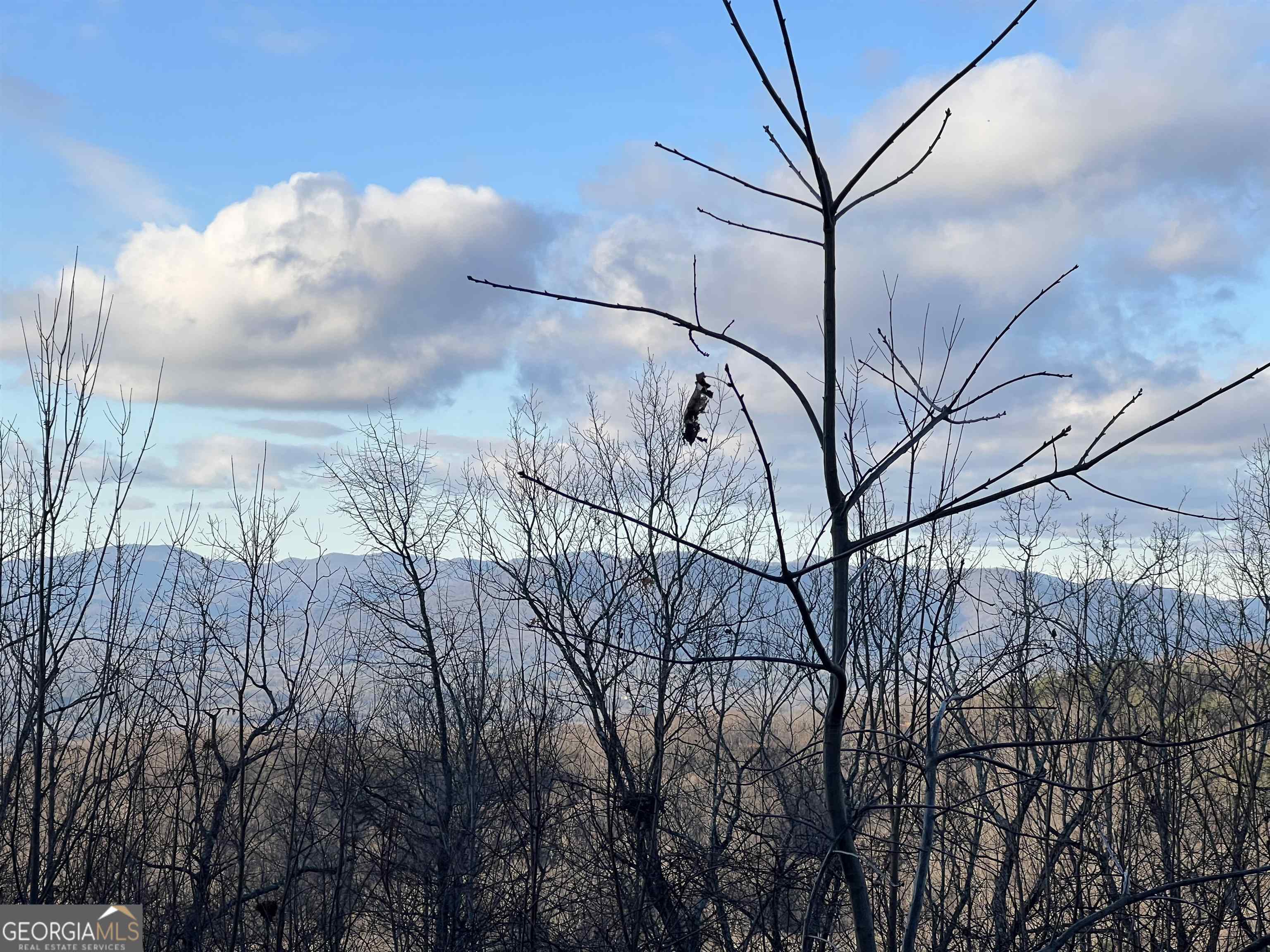 Beautiful Mountain Views! A Rare Find! This 3.0 acre lot would be the perfect building site for your dream home. This property is easily accessible and a must see!