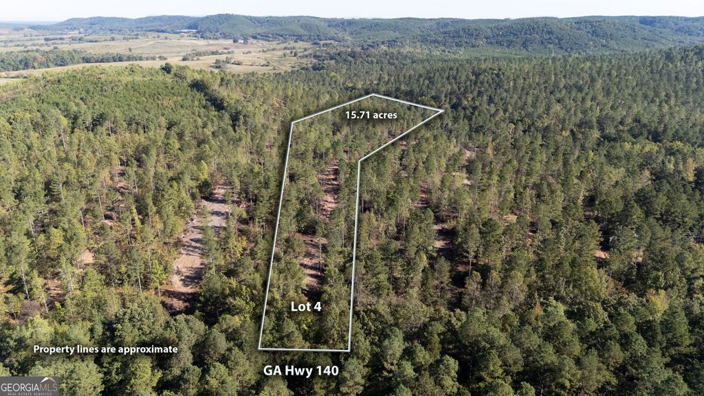 Photo of 3797 HWY 140 NE, Rydal, GA 30171 (MLS # 10632067)