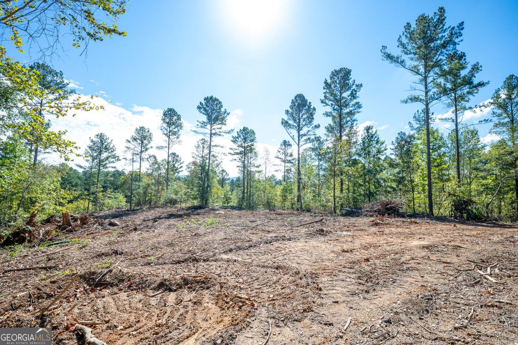 Photo of 3797 HWY 140 NE, Rydal, GA 30171 (MLS # 10632067)