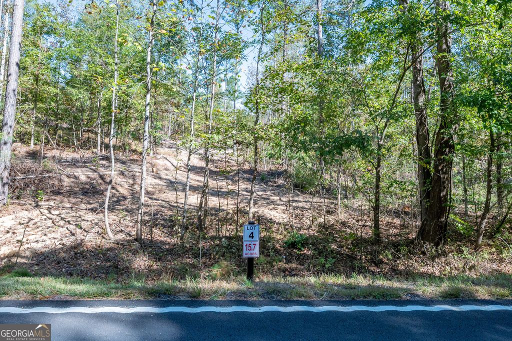 Photo of 3797 HWY 140 NE, Rydal, GA 30171 (MLS # 10632067)