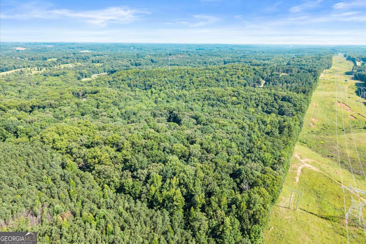342 Woodland PATH