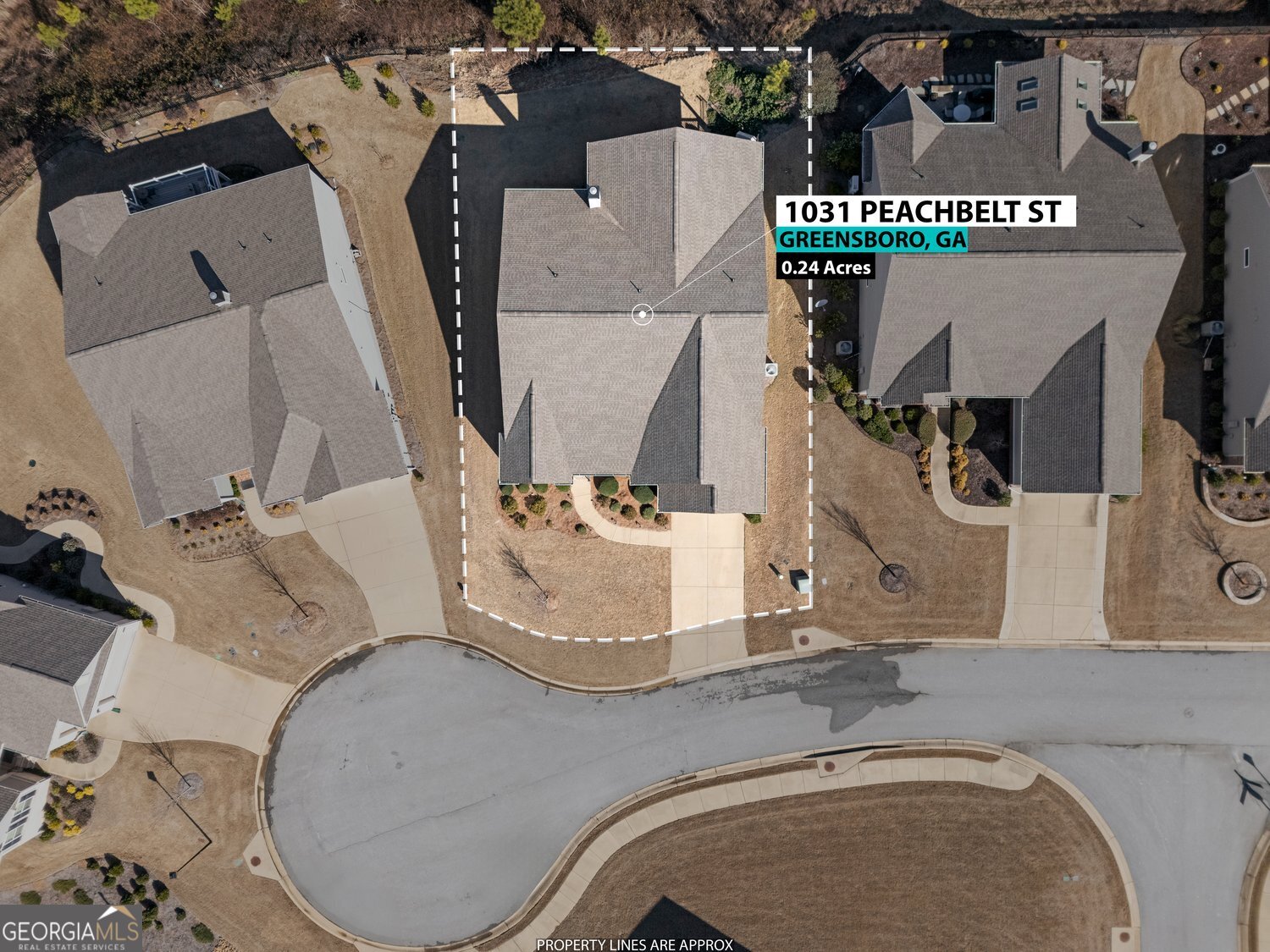 1031 Peachbelt ST
