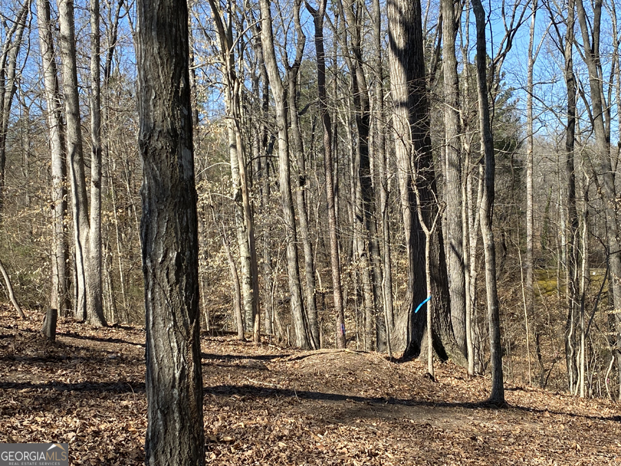 LOT 28 Knottywood DR