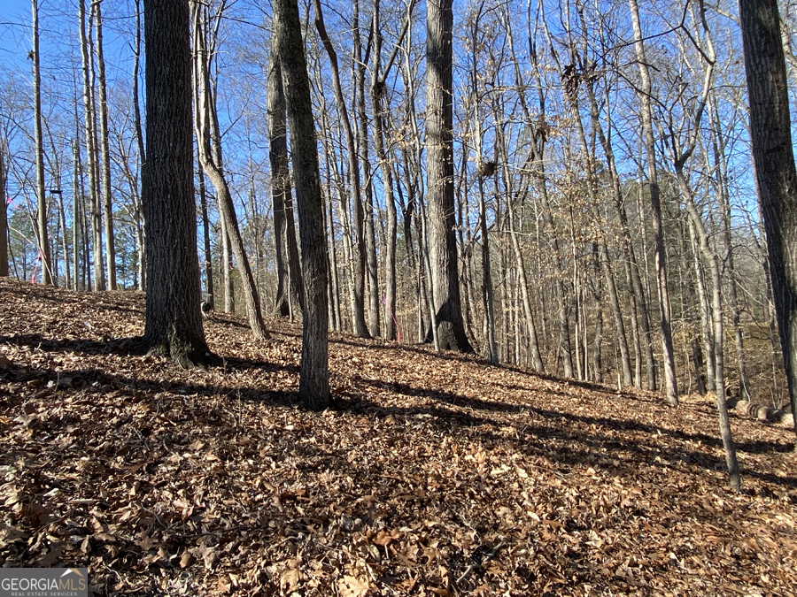 LOT 28 Knottywood DR