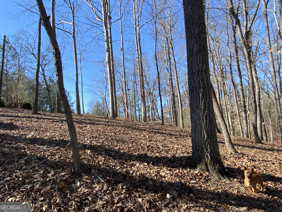 LOT 28 Knottywood DR