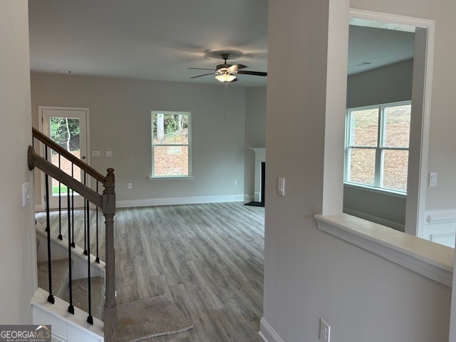 Habersham Meadows - Residential
