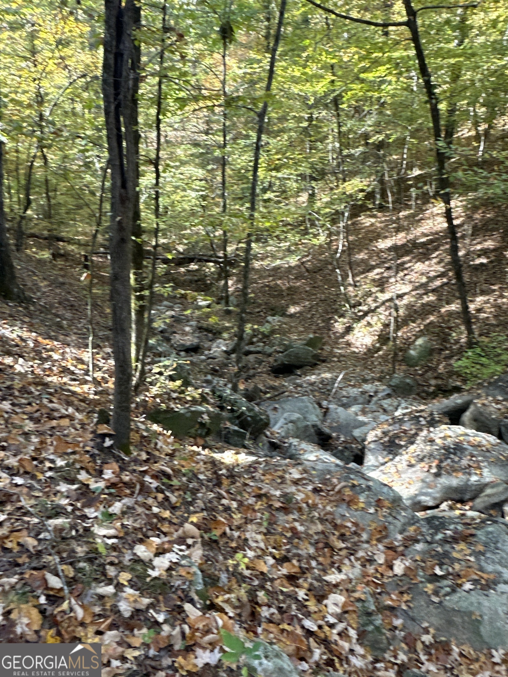 0 Dennis Creek RD