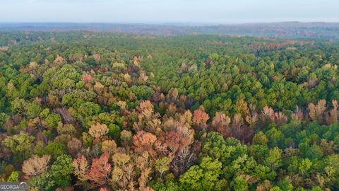 0 Dennis Creek RD Talbotton GA 31827