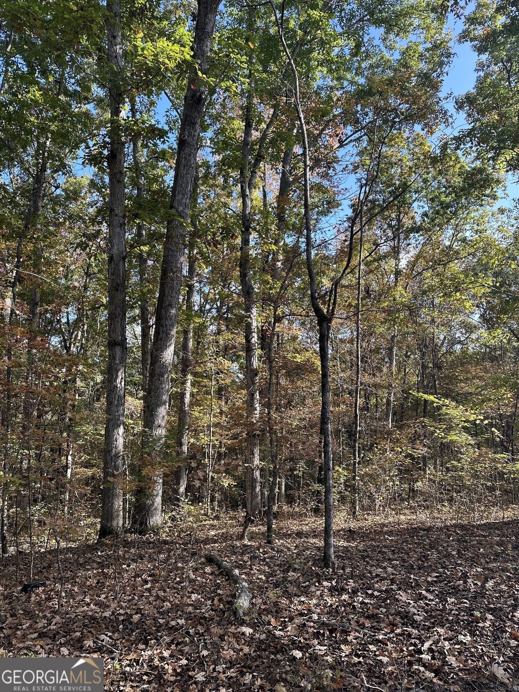 0 Dennis Creek RD