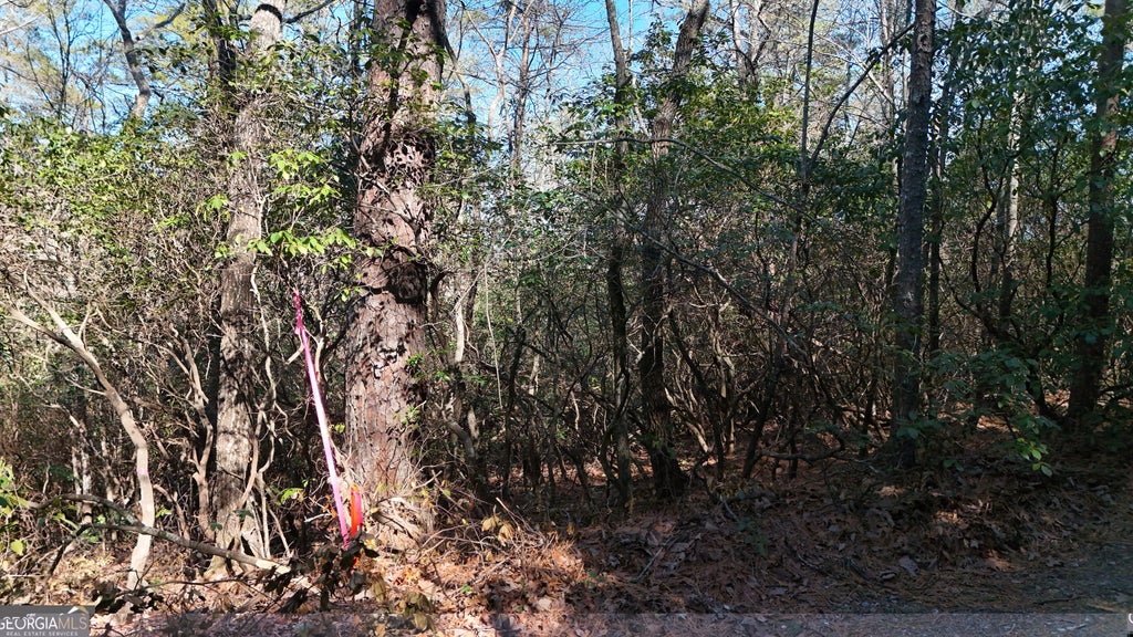 Photo of 2 Crumley Creek Road, Sautee Nacoochee, GA 30571 (MLS # 10797466)