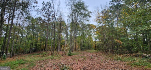 Photo of 18 E Mourning Dove Court, Monticello, GA 31064 (MLS # 10757777)