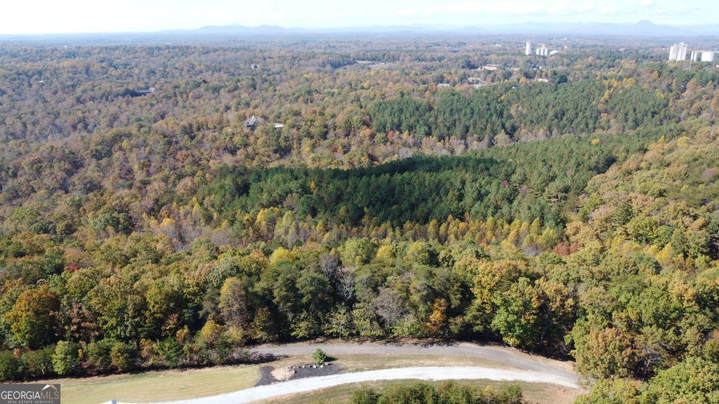 Photo of 0 Baldwin Heights Road, Baldwin, GA 30511 (MLS # 10791766)