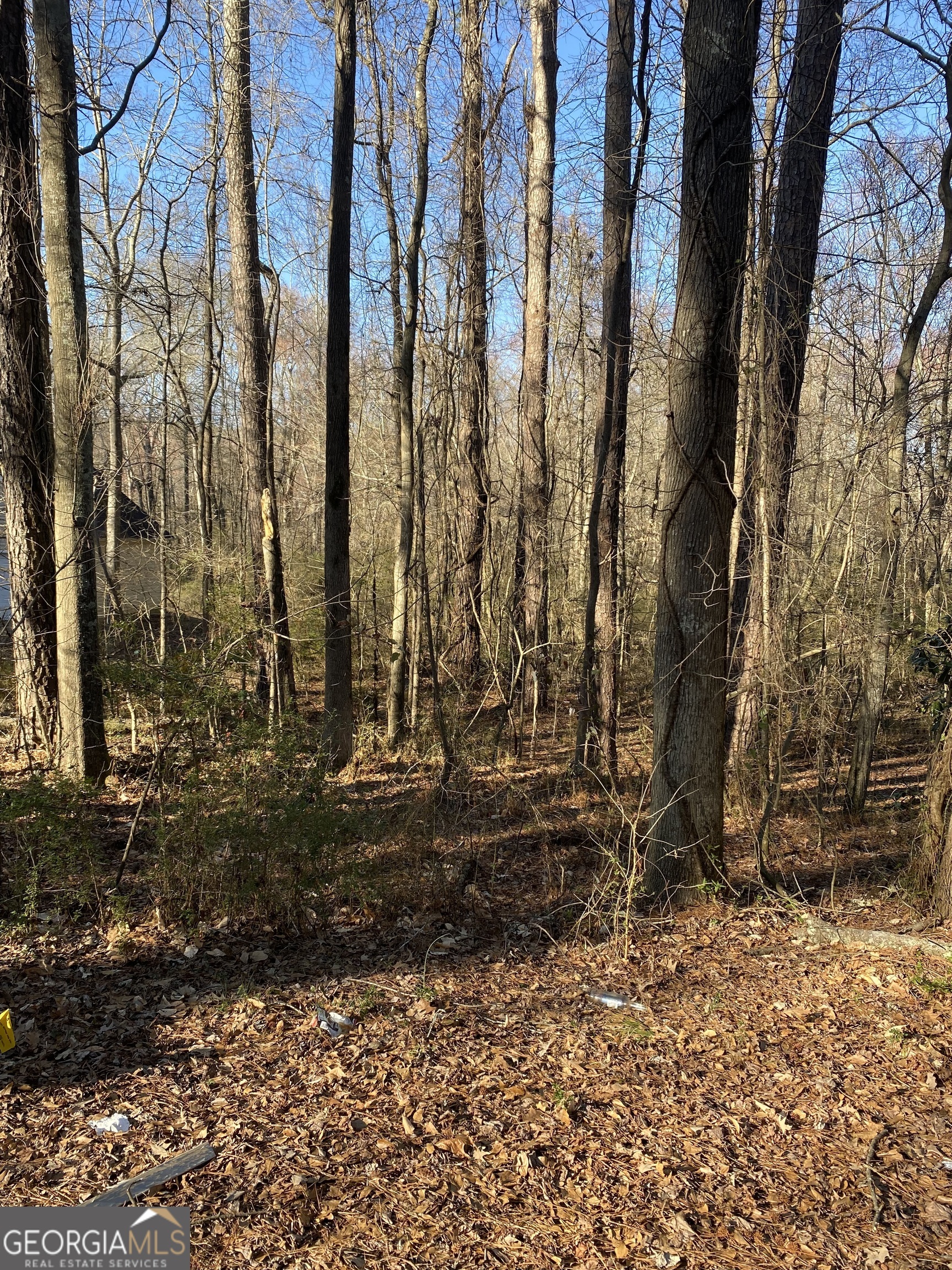 Undeveloped Henry County Residential Land lot comprised of 0.41 acres (mostly wooded) less than 2 miles from Stockbridge High School. Easy access to GA-138 and GA-42 and I-75/I-675. Agents read private remarks!