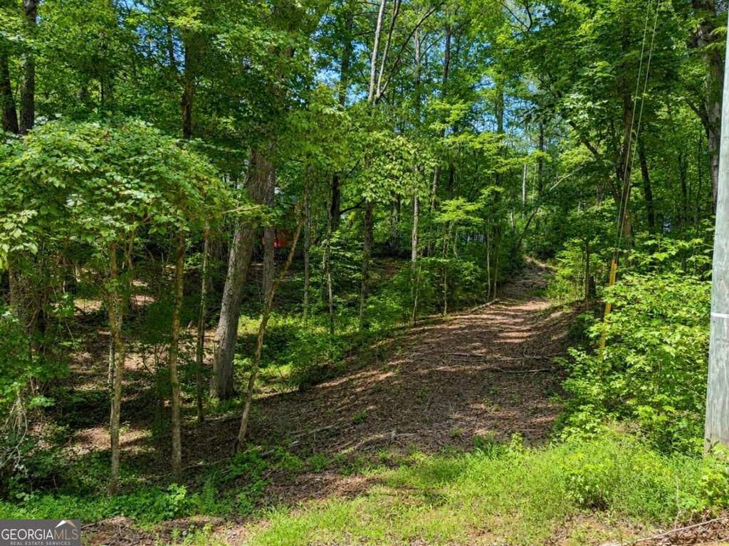 Photo of 6195 Belle Meade Drive, Villa Rica, GA 30180 (MLS # 10830053)