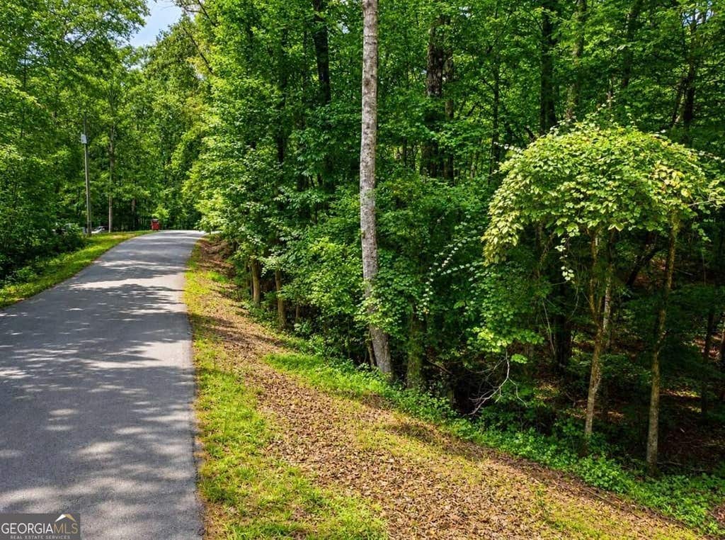 Photo of 6195 Belle Meade Drive, Villa Rica, GA 30180 (MLS # 10830053)