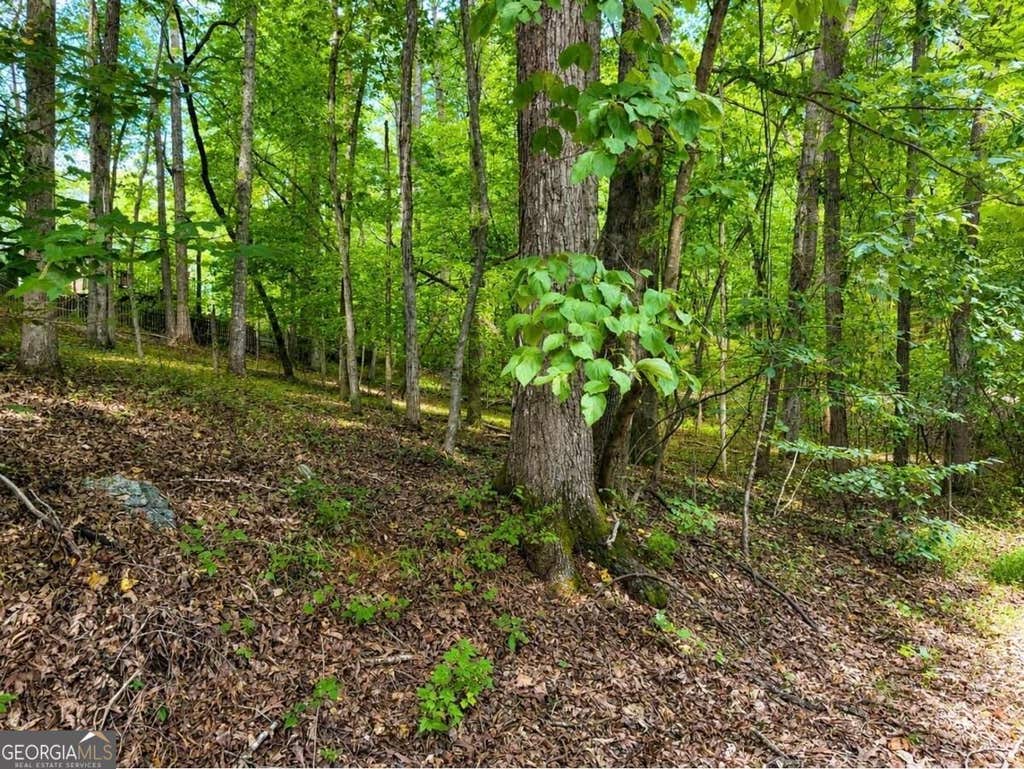 Photo of 6195 Belle Meade Drive, Villa Rica, GA 30180 (MLS # 10830053)