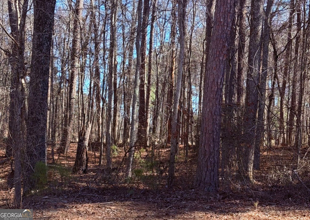Photo of 3297 Lakeview Parkway, Villa Rica, GA 30180 (MLS # 10835384)