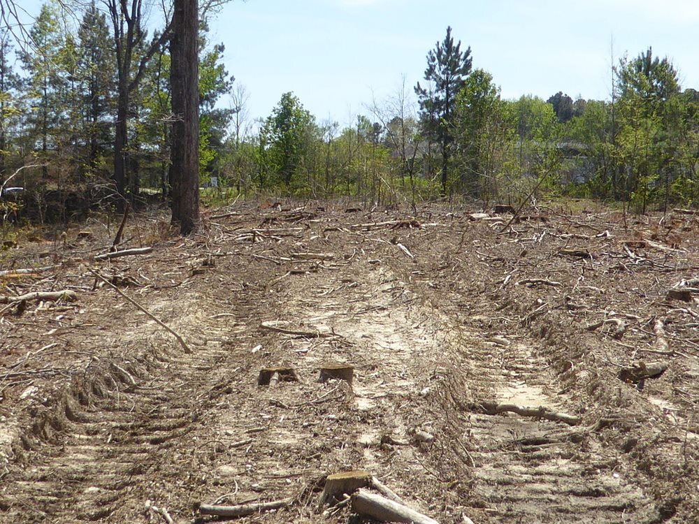 None - Commercial Sale