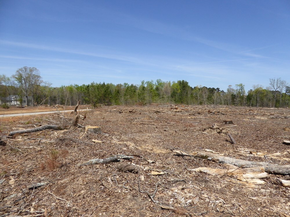 None - Commercial Sale