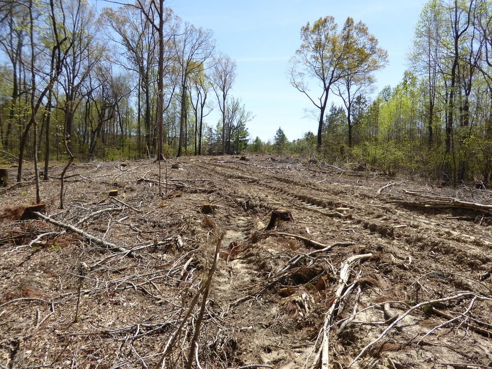 None - Commercial Sale