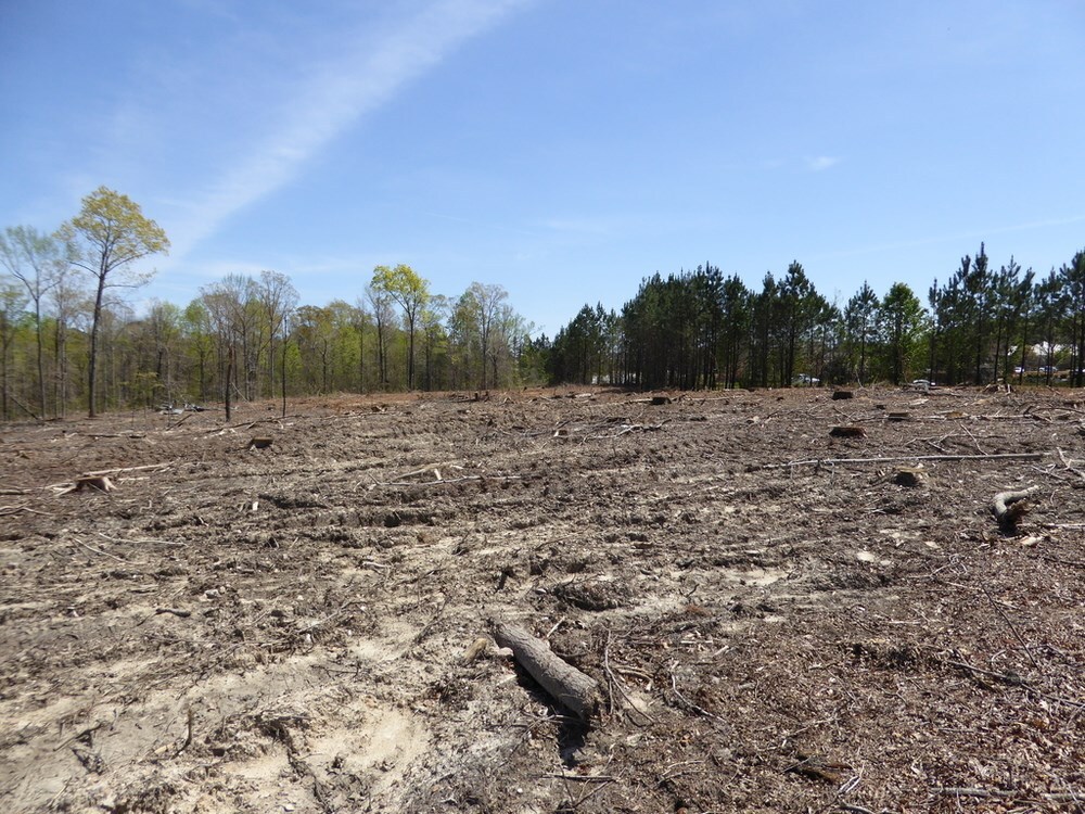 None - Commercial Sale