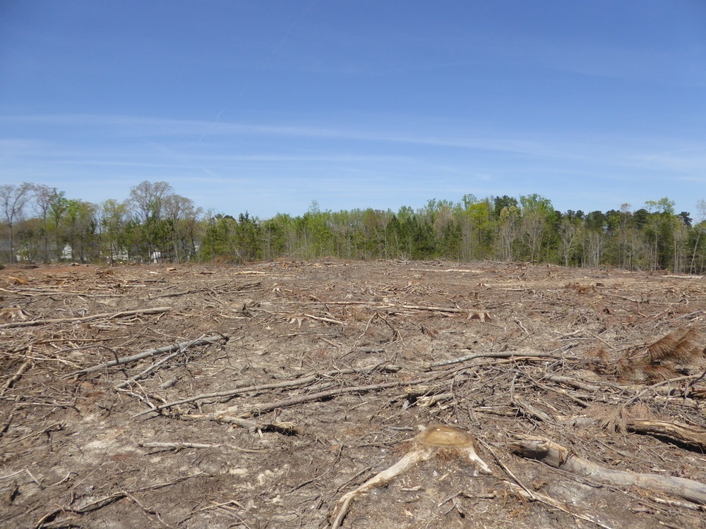 None - Commercial Sale