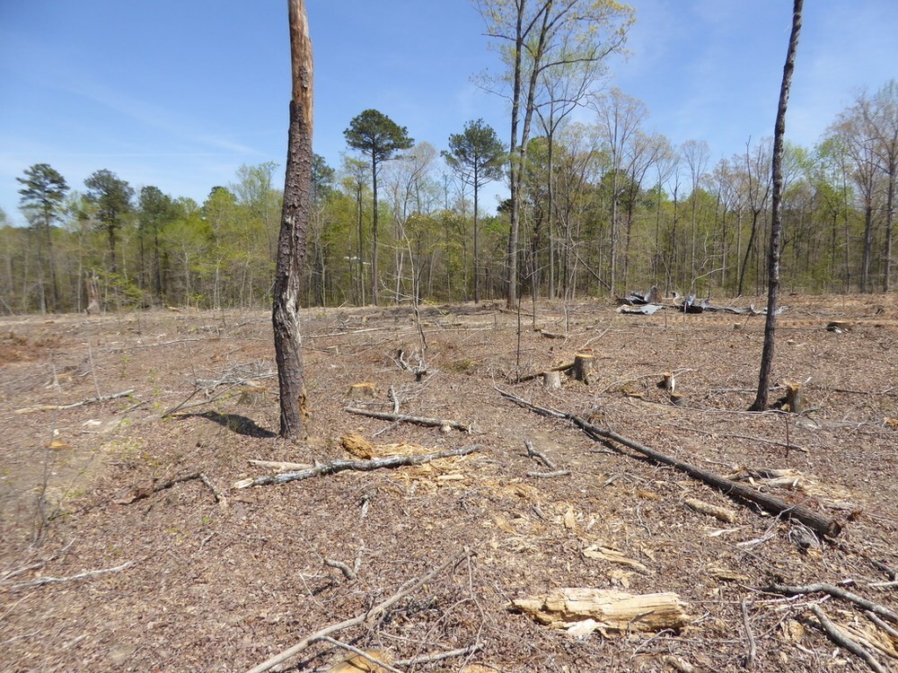 None - Commercial Sale