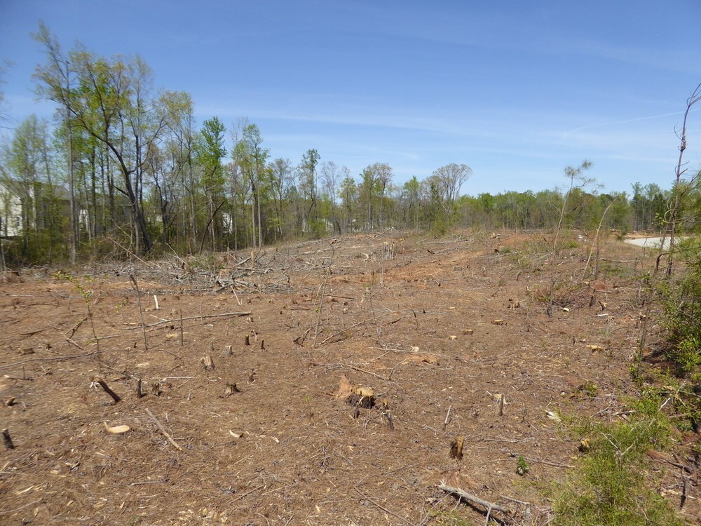 None - Commercial Sale