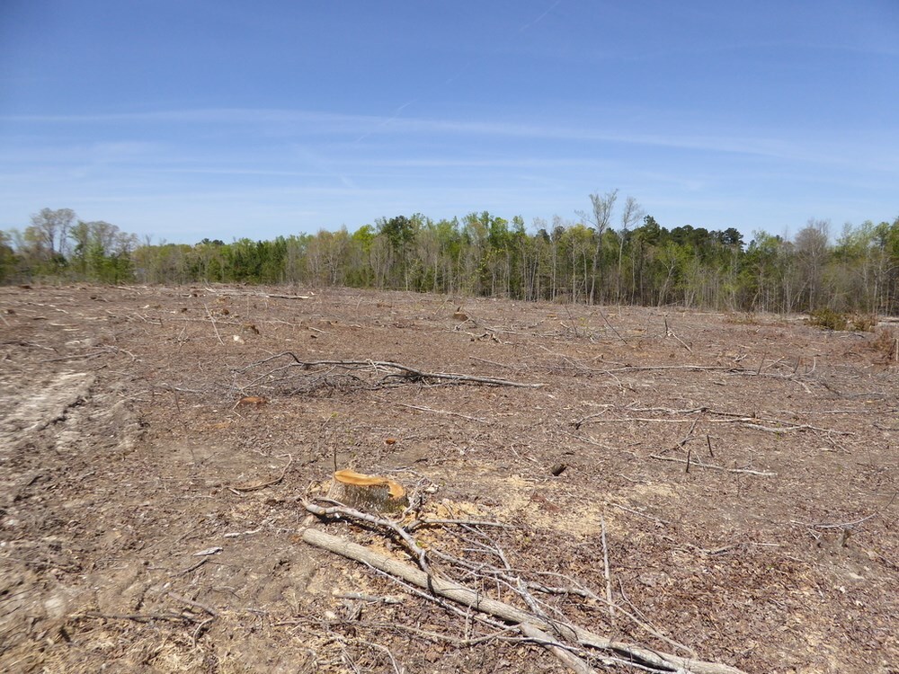 None - Commercial Sale