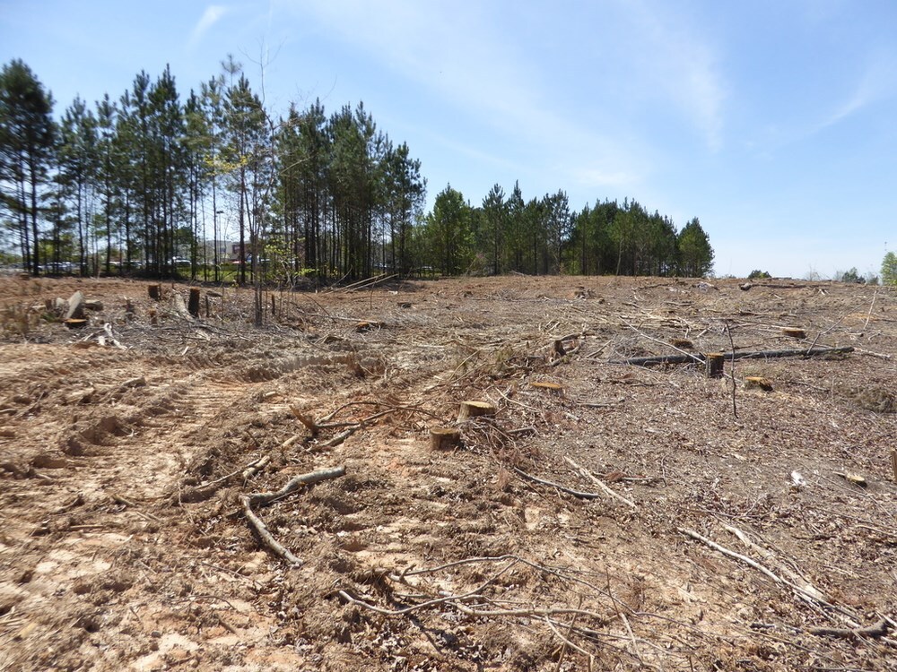 None - Commercial Sale