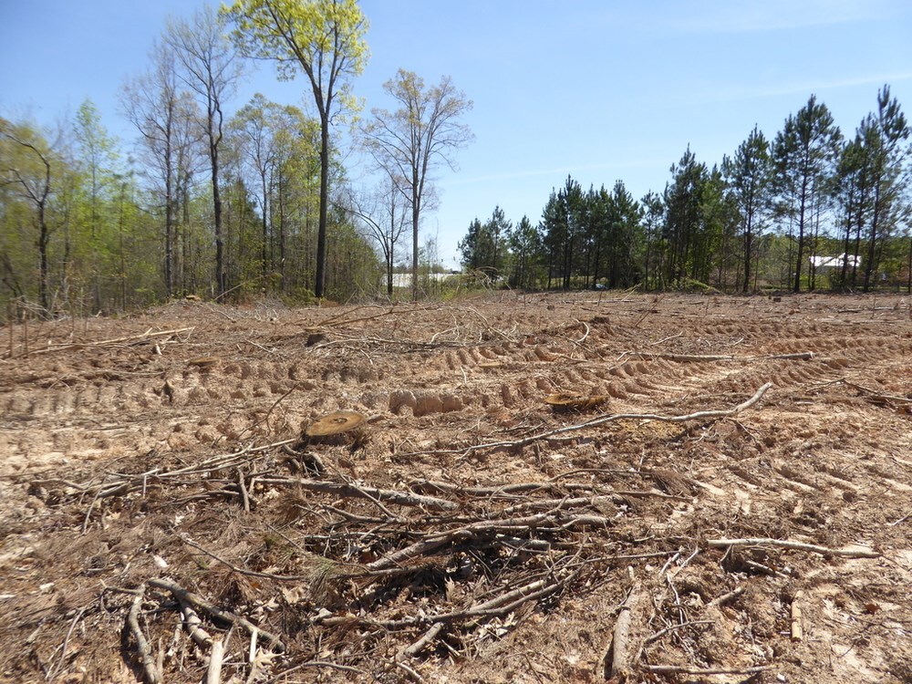 None - Commercial Sale