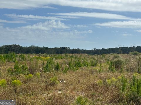 Photo of 0 Runs Branch Road, Sylvania, GA 30467 (MLS # 10617232) Photo of 0 Runs Branch Road, Sylvania, GA 30467 (MLS # 10617232)