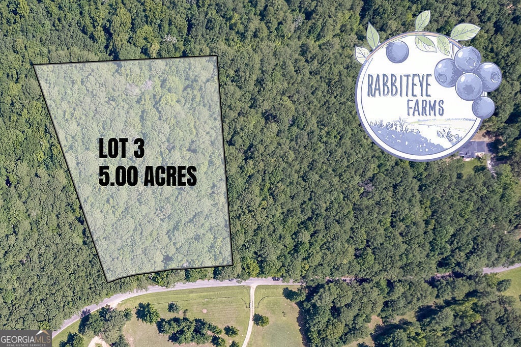LOT 3 Haynes RD