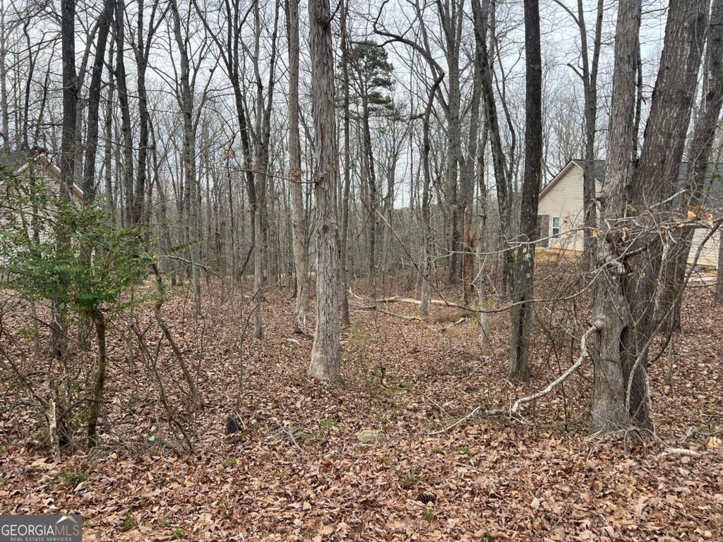 Photo of 3254 Greenhill Court, Villa Rica, GA 30180 (MLS # 10704626)