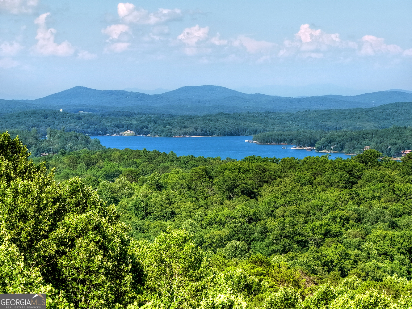 394 Snake Mountain RD