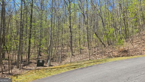 Photo of 18 Overlook Loop, Young Harris, GA 30582 (MLS # 10733206)