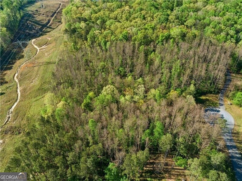 Photo of 11 Harris Loop, Dallas, GA 30157 (MLS # 10734742)