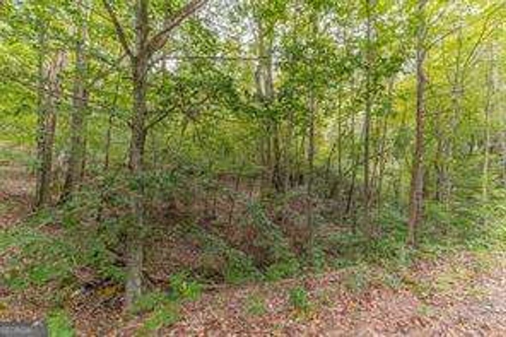 Photo of 4033 Hidden Hollow Drive, Gainesville, GA 30506 (MLS # 10729583)