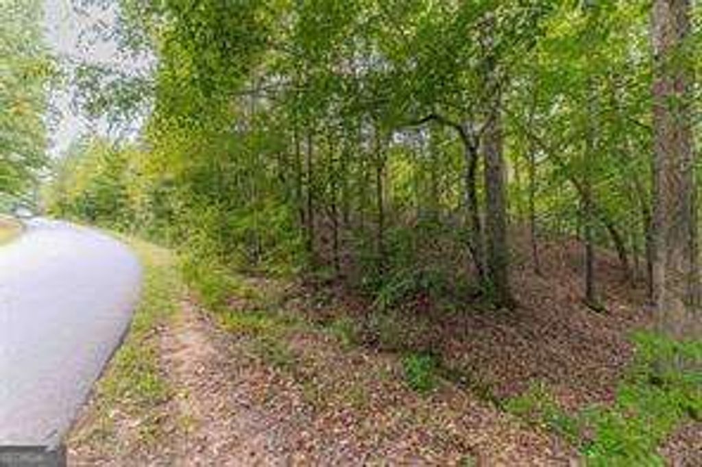 Photo of 4033 Hidden Hollow Drive, Gainesville, GA 30506 (MLS # 10729583)