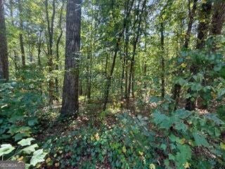 Photo of 40 Crescent Drive, Toccoa, GA 30577 (MLS # 10838744)