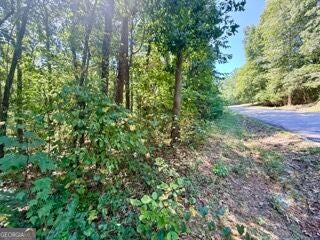 Photo of 40 Crescent Drive, Toccoa, GA 30577 (MLS # 10838744)
