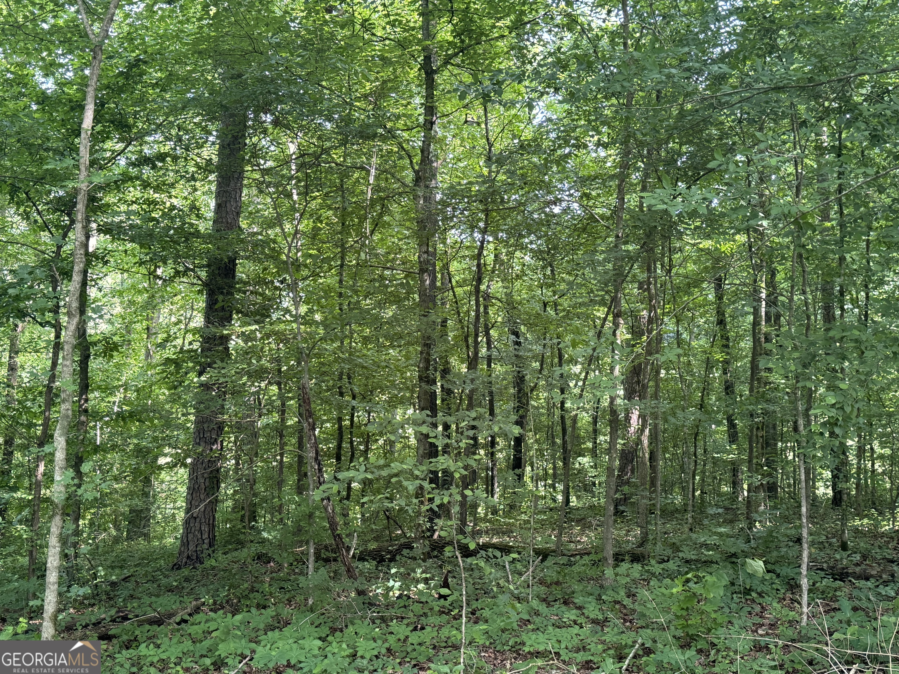 LOT 24 Tomlin RD