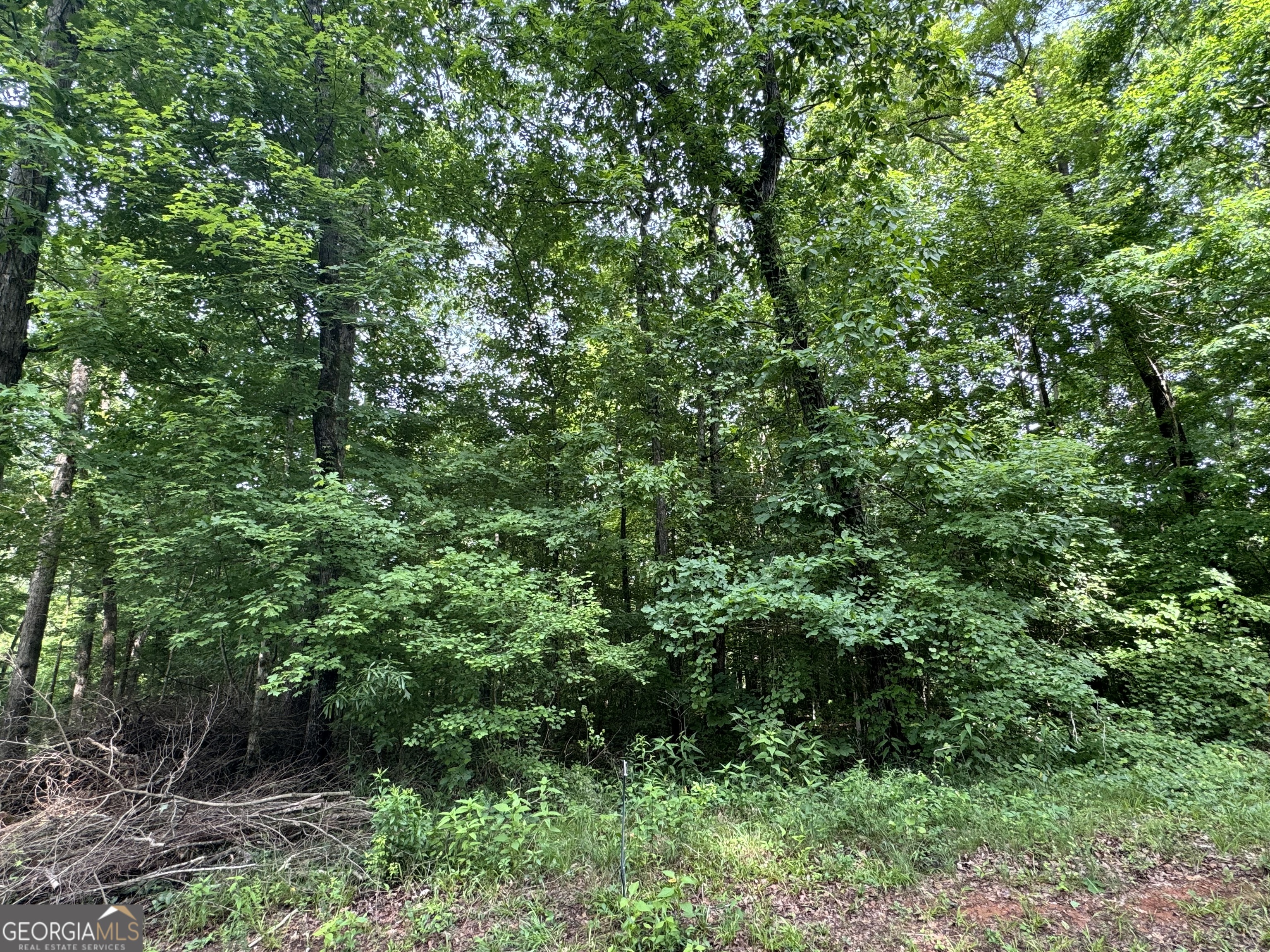 LOT 24 Tomlin RD