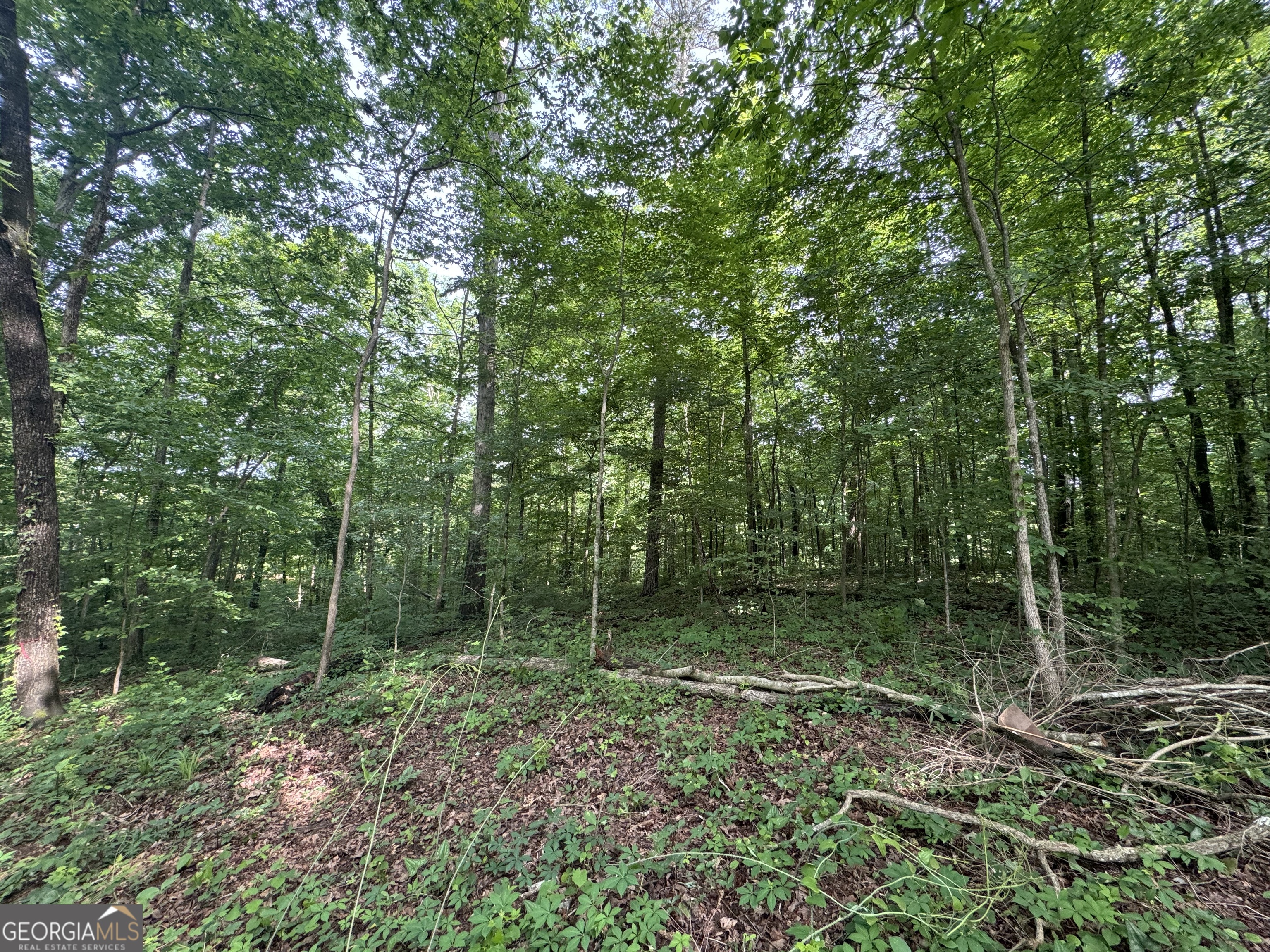 LOT 24 Tomlin RD