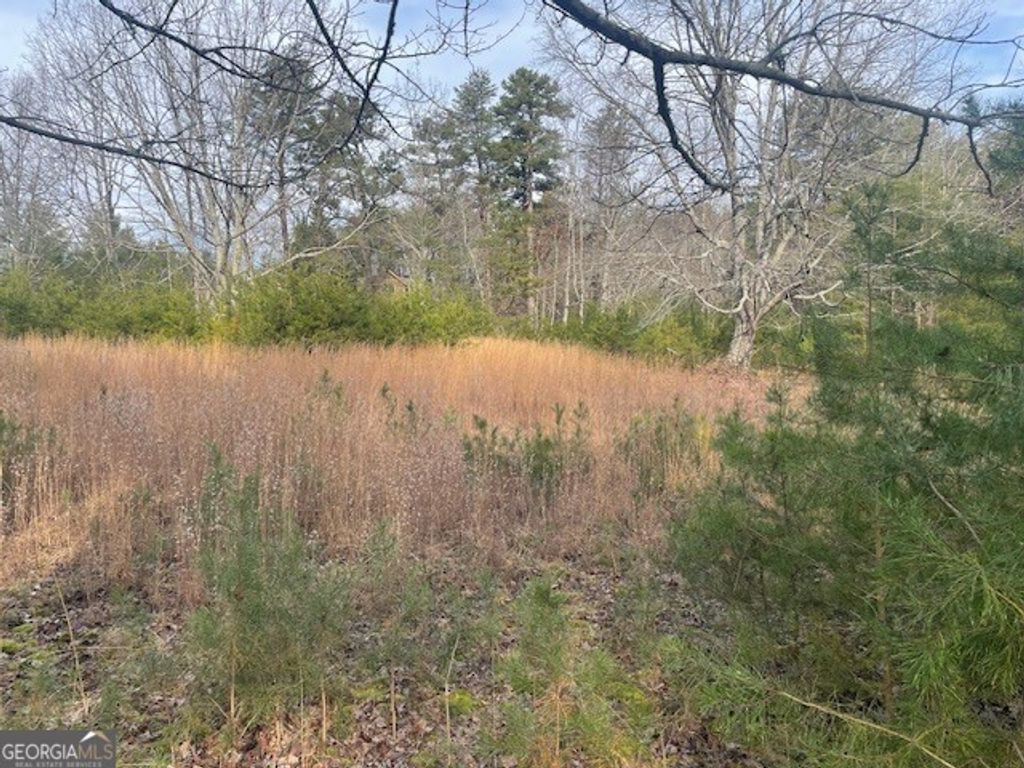 Photo of 2484 Durham Road, Rising Fawn, GA 30738 (MLS # 10659750)